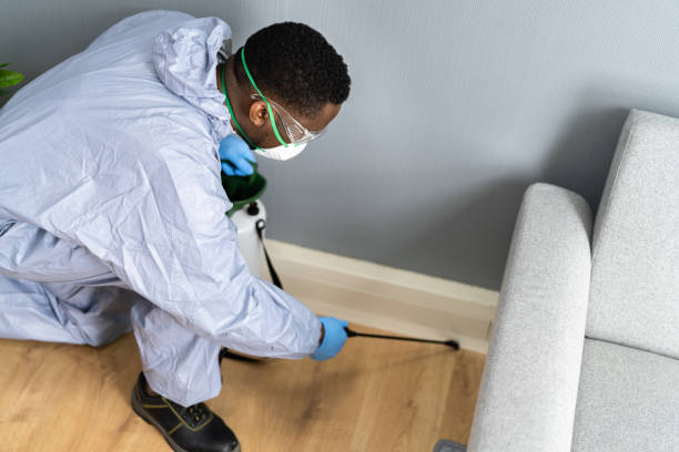 Best Fumigation Services  in USA